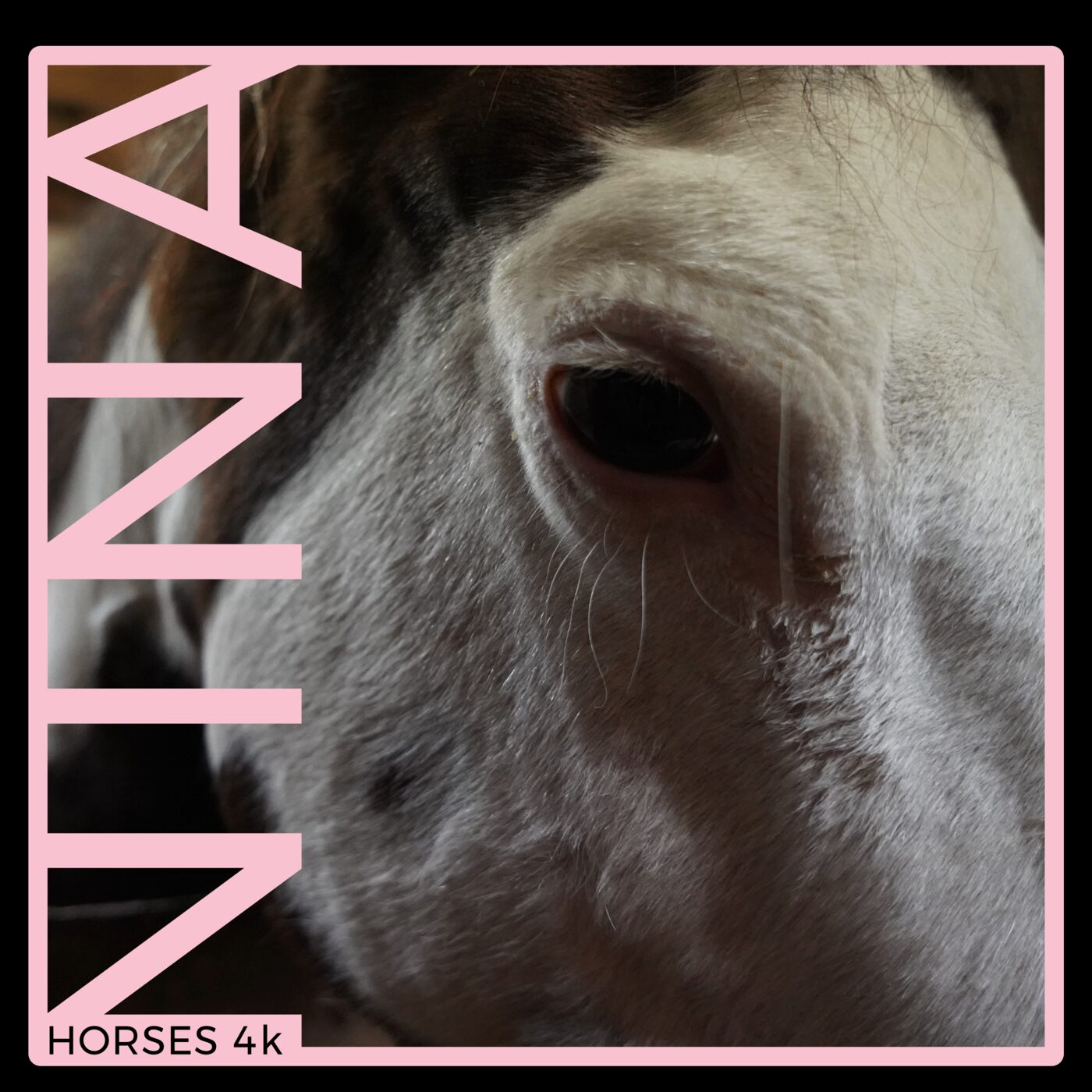 Nina